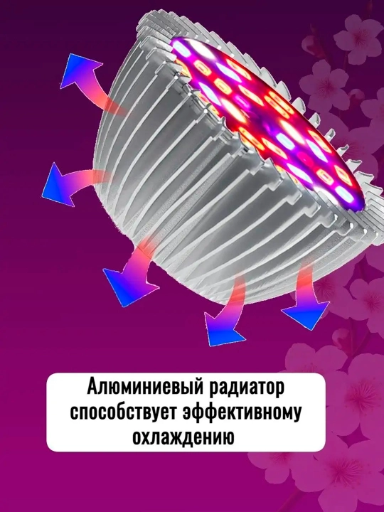 Fitolampalar, to'liq spektr, zokol E27