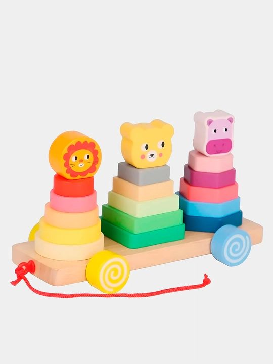 Развивающие и обучающие игрушки, Cортер