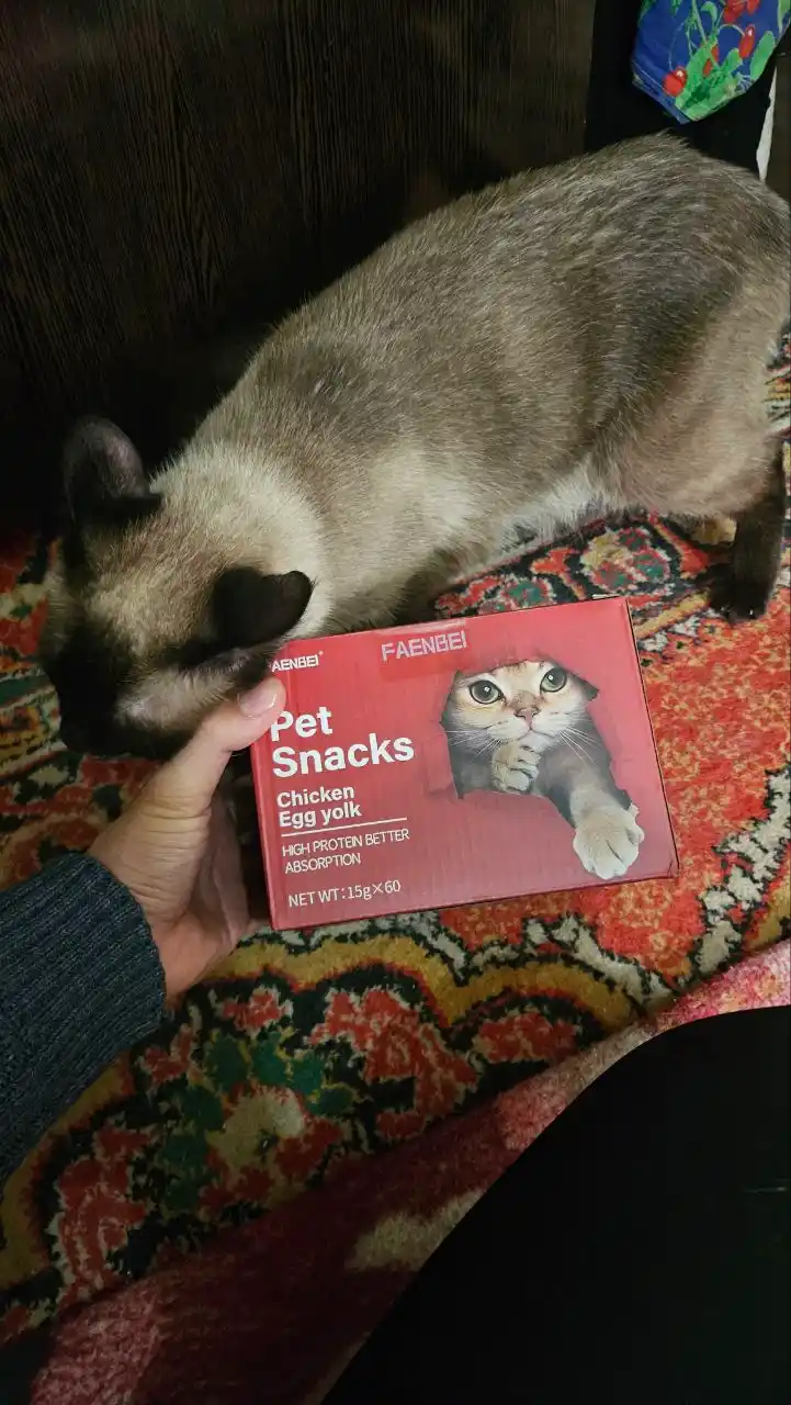 Shirinlik mushuklar uchun Pet Snacks, 60 dona korobkada