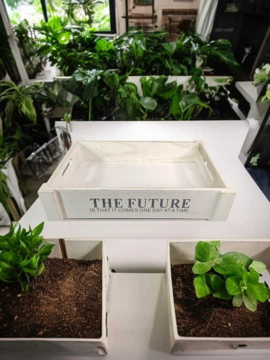 Декоративные ящики, 4 разных размера - 
