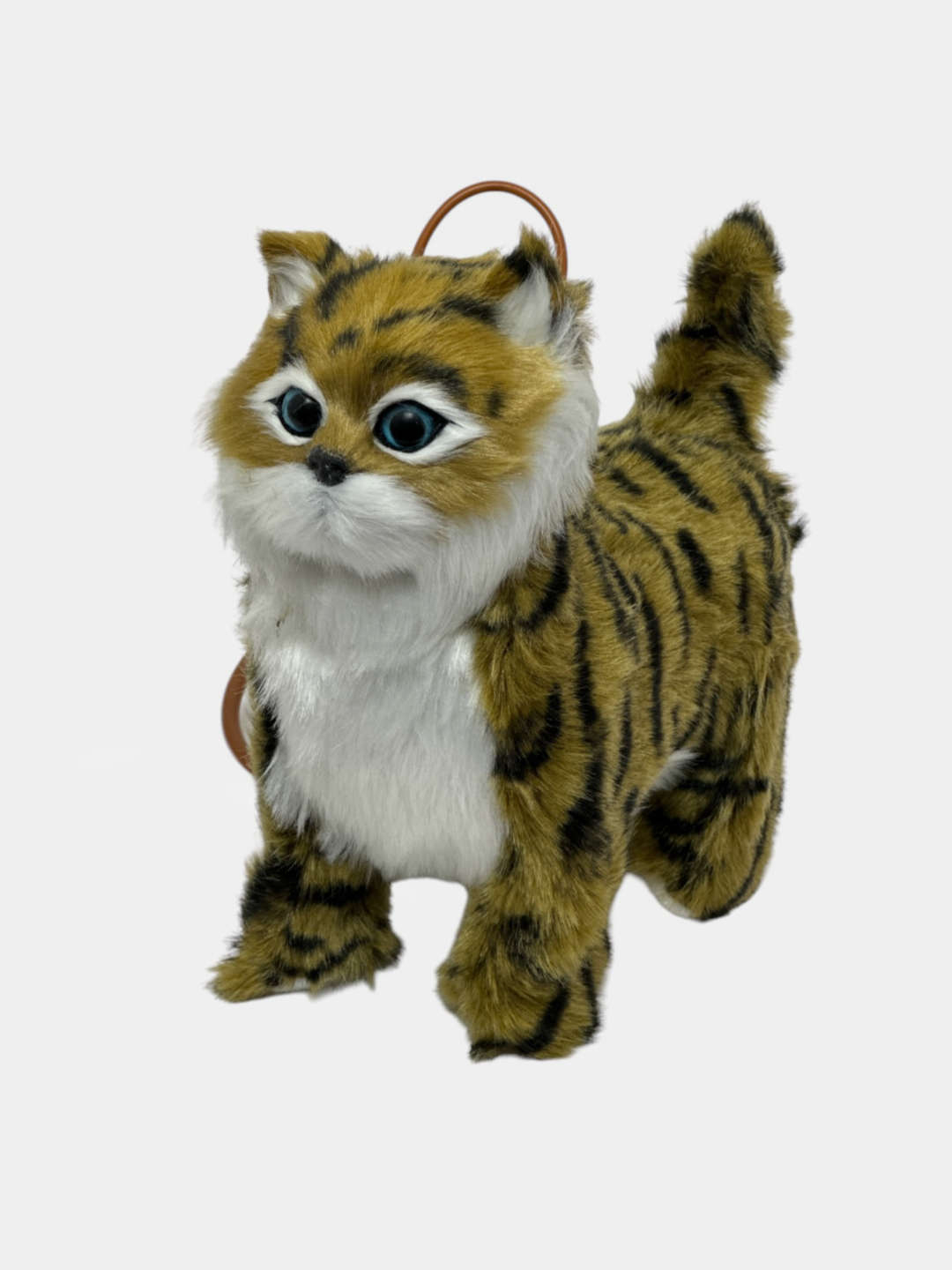 Sariq tort oyoqlab stolga keldi