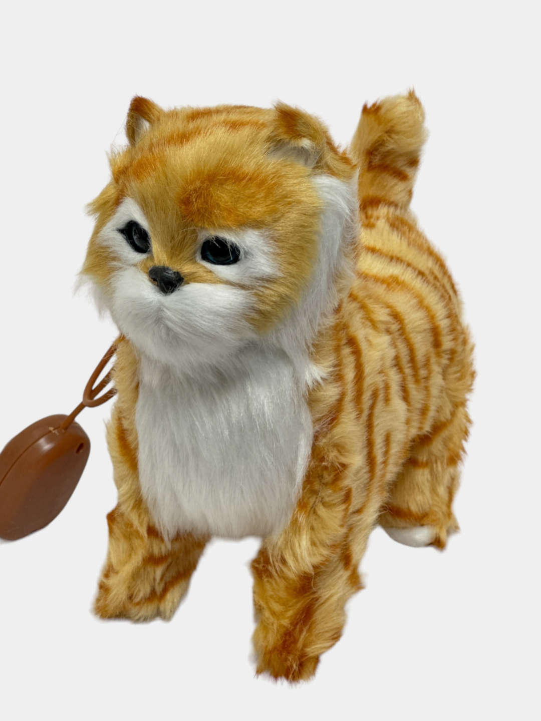 Yetuk erkaklar jinsiy aloqa video