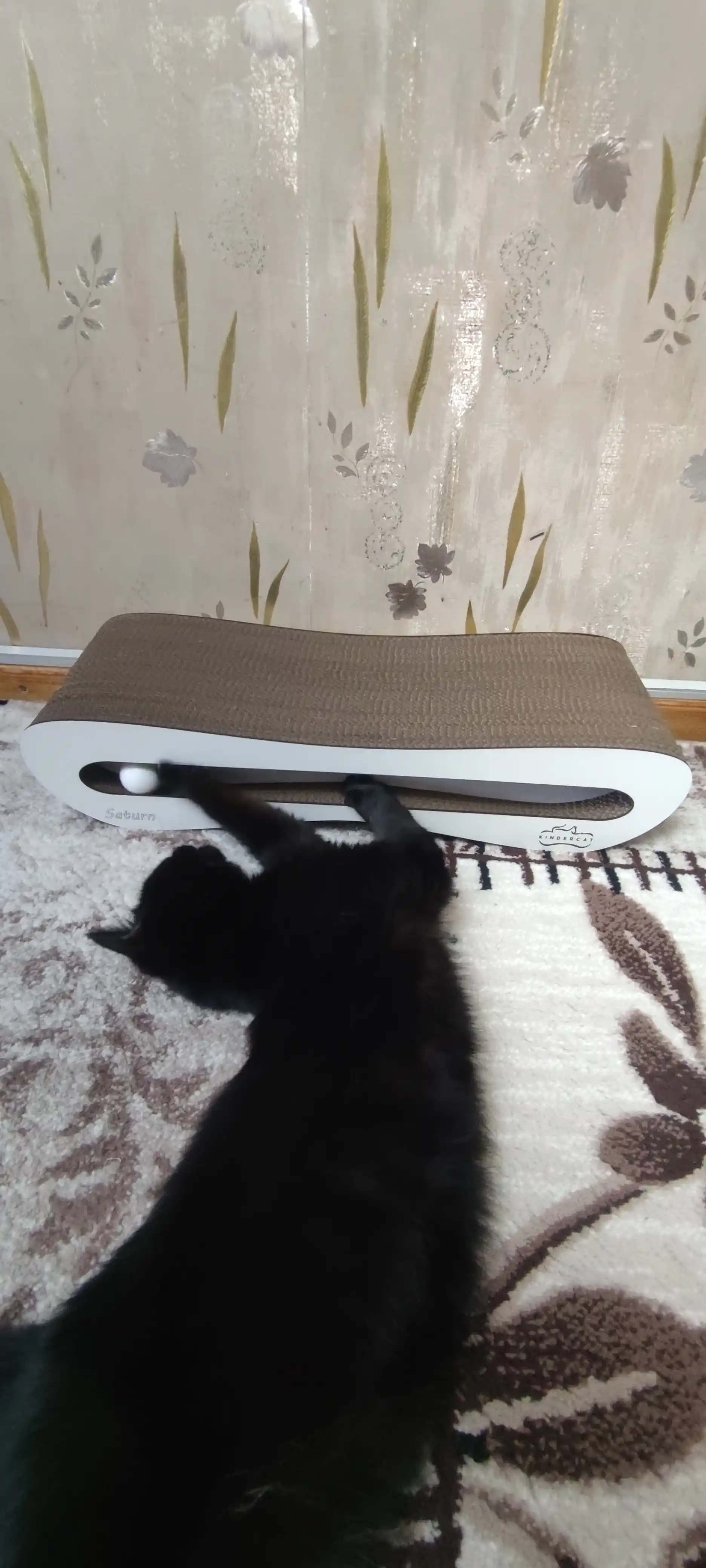Mushuklar va mushukchalar uchun "KinderCat Earth" karton tirnoqchasi