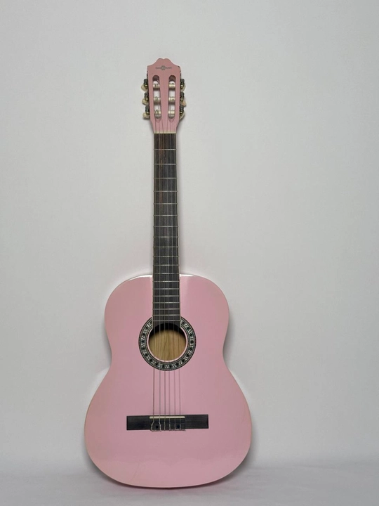 Akustik gitara