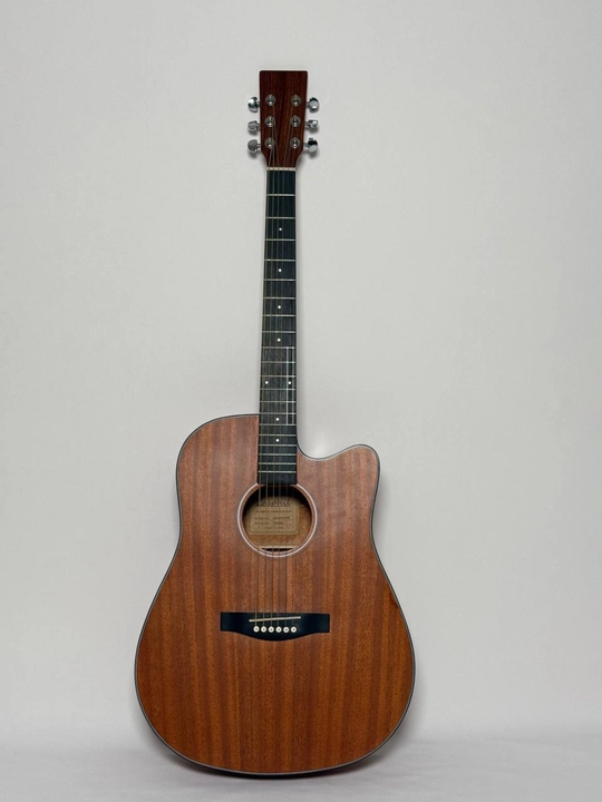 Akustik gitara