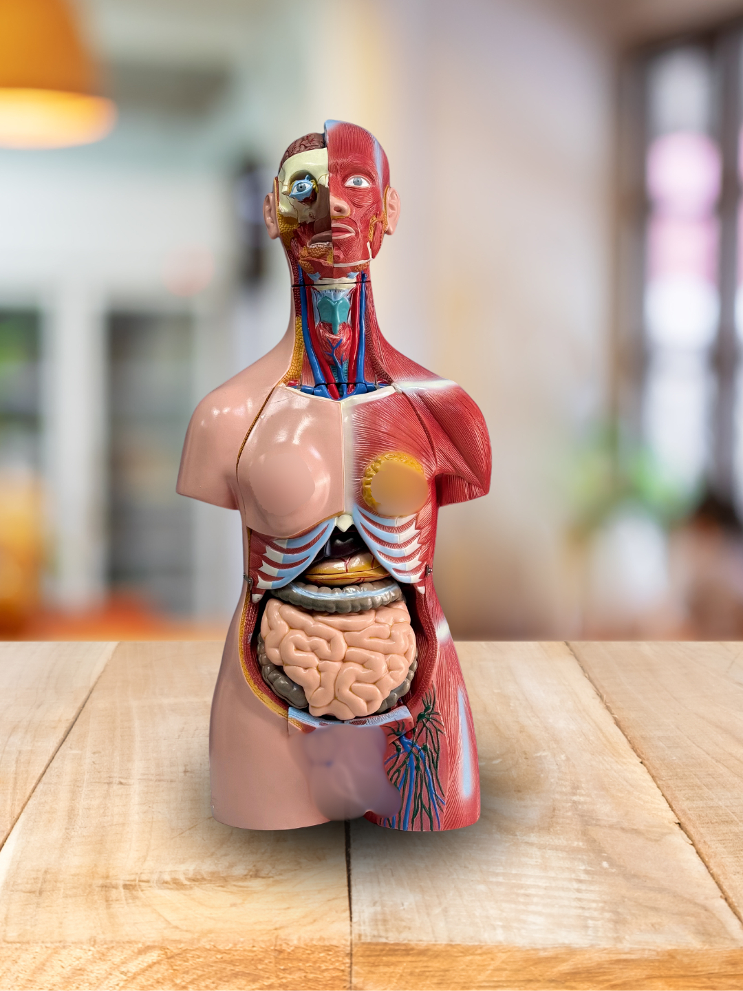 Anal jinsiy aloqada bolish