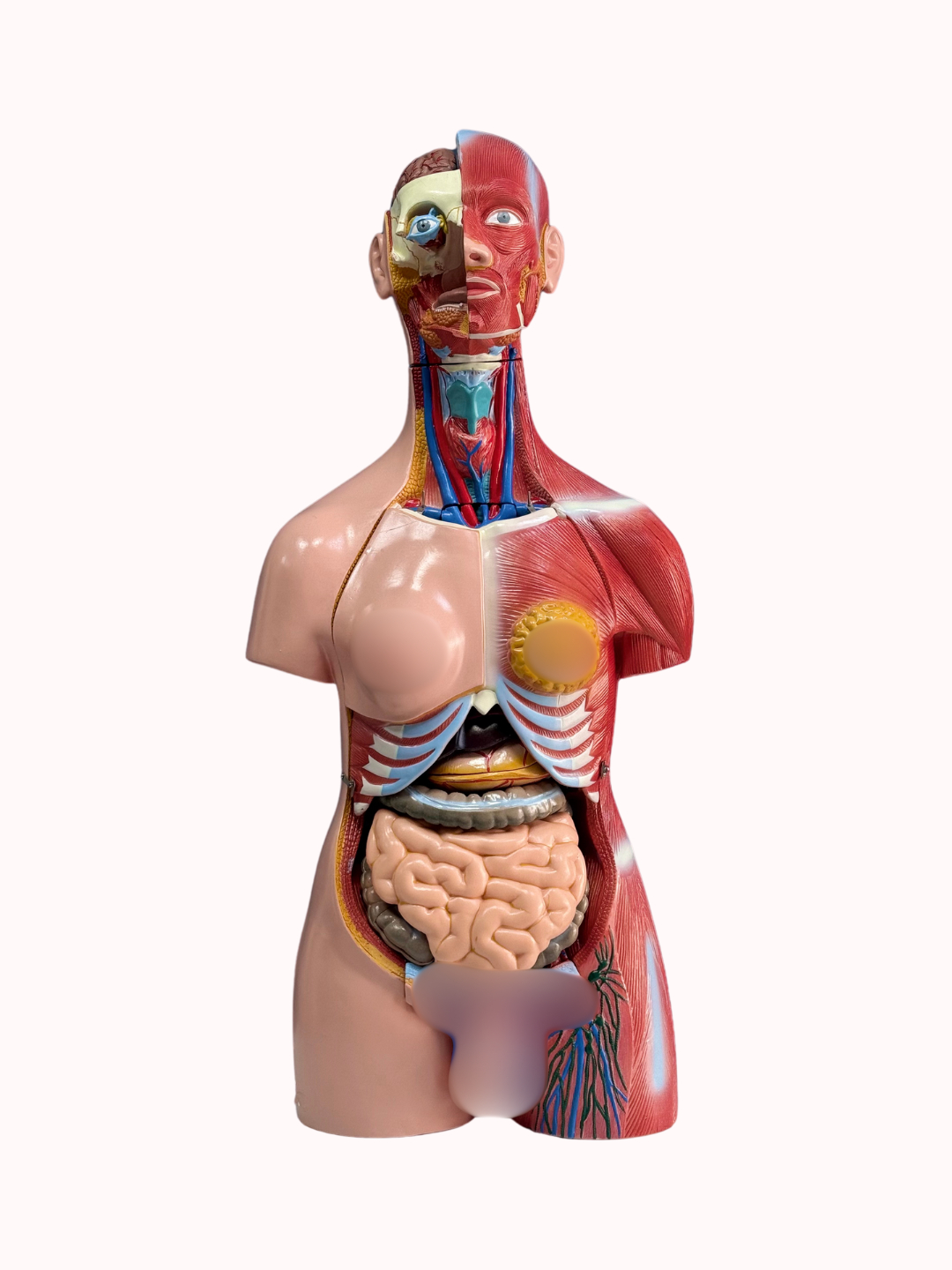 Yosh fohishalar jinsiy aloqa video