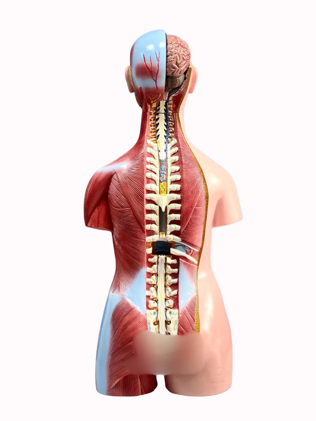 Anneli bilan gozal porno