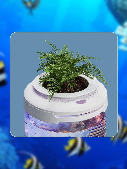 Filtr va yoritish bilan akvarium