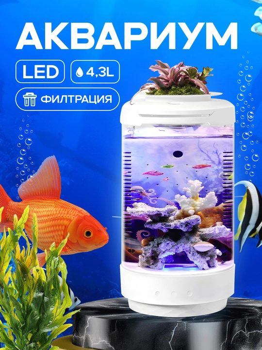 Filtr va yoritish bilan akvarium - 