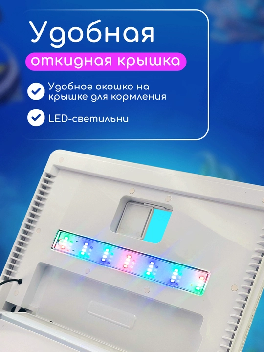 Filtr va yoritish bilan akvarium