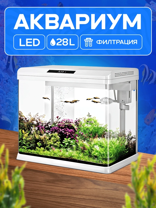 Filtr va yoritish bilan akvarium