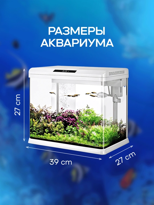 Filtr va yoritish bilan akvarium