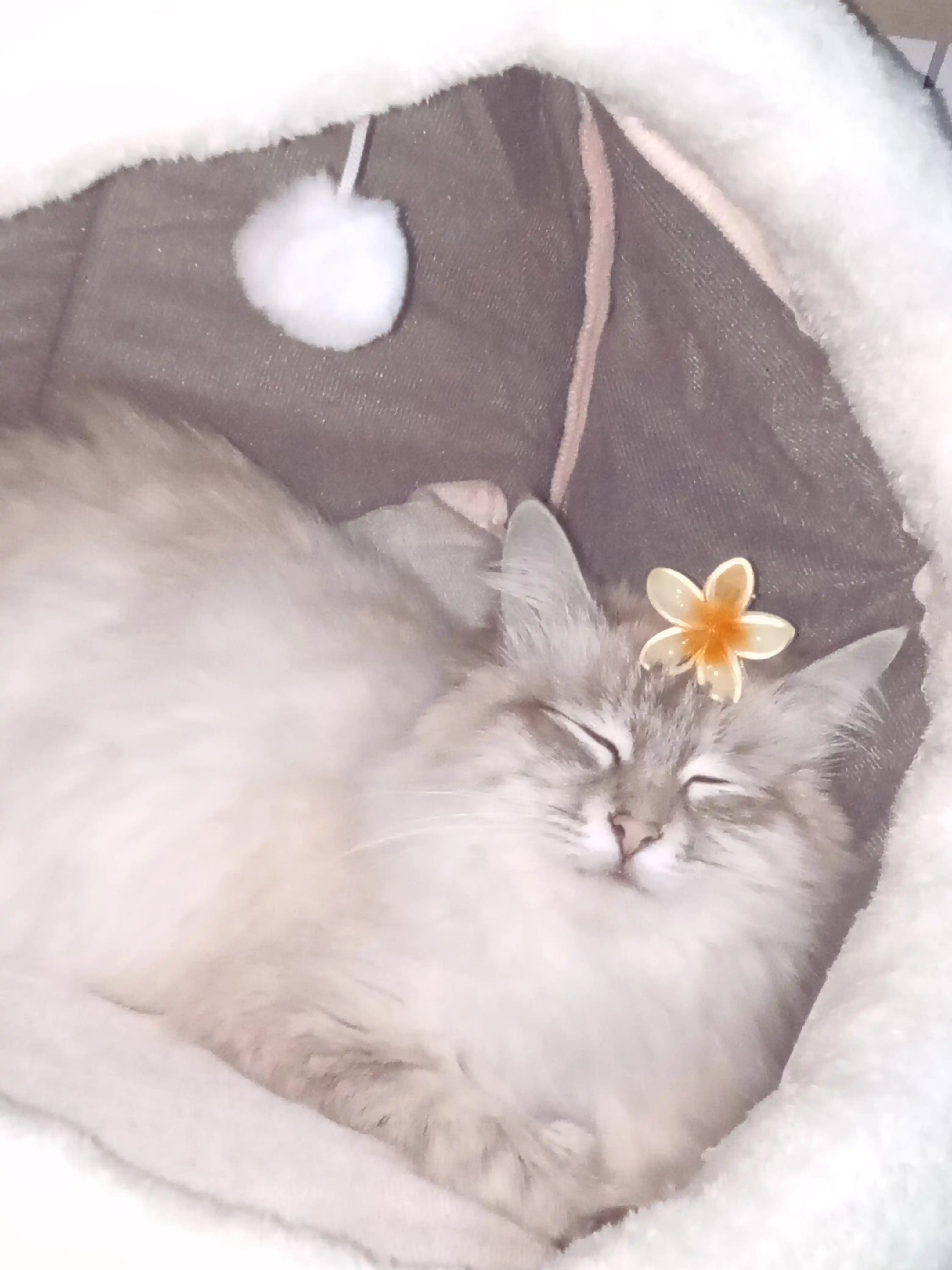 Домик лежанка для кошек и собак. Большой размер L