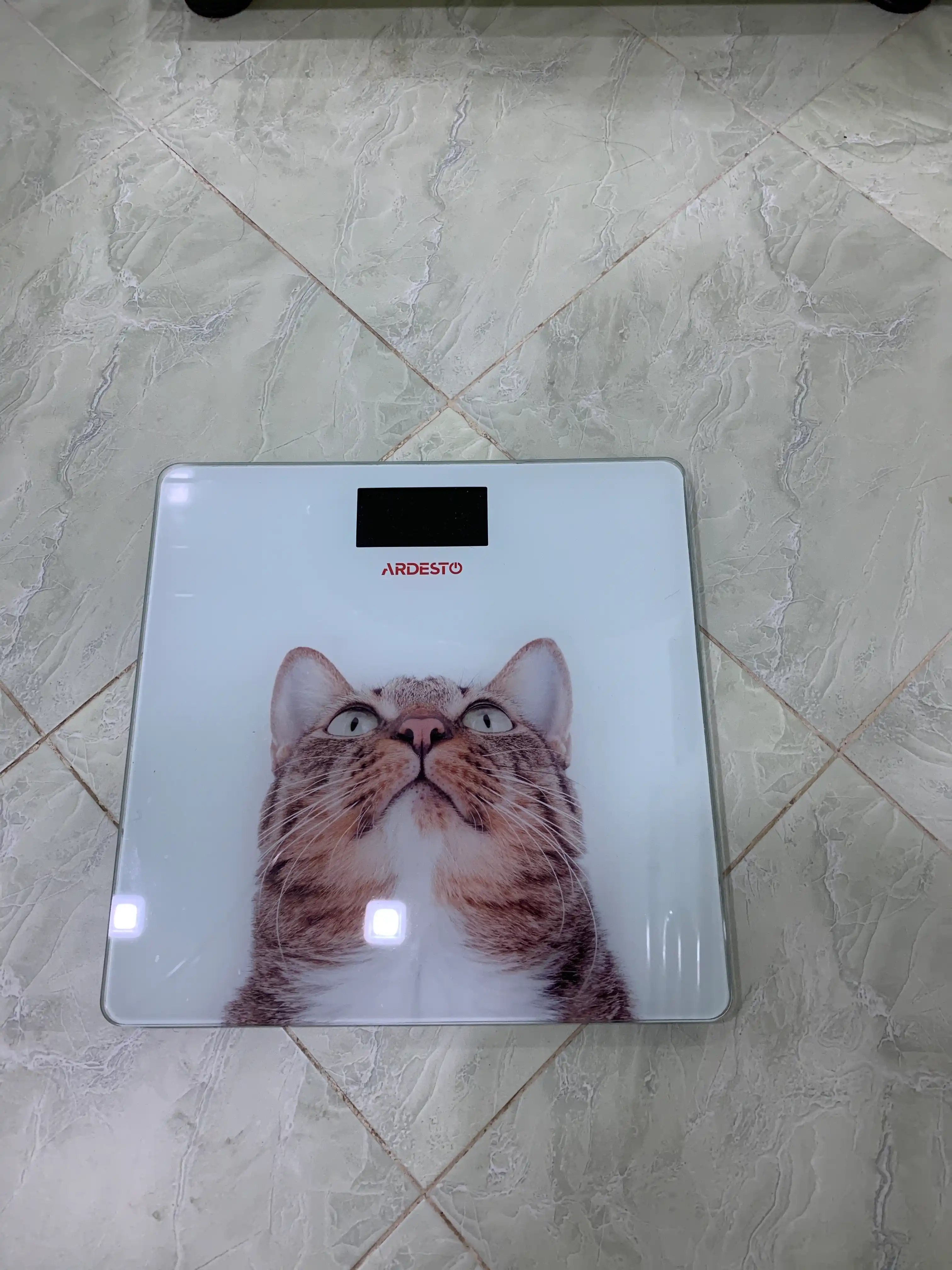 Tana va uy uchun elektron pol tarozisi Ardesto, fitnes, 150 kg gacha