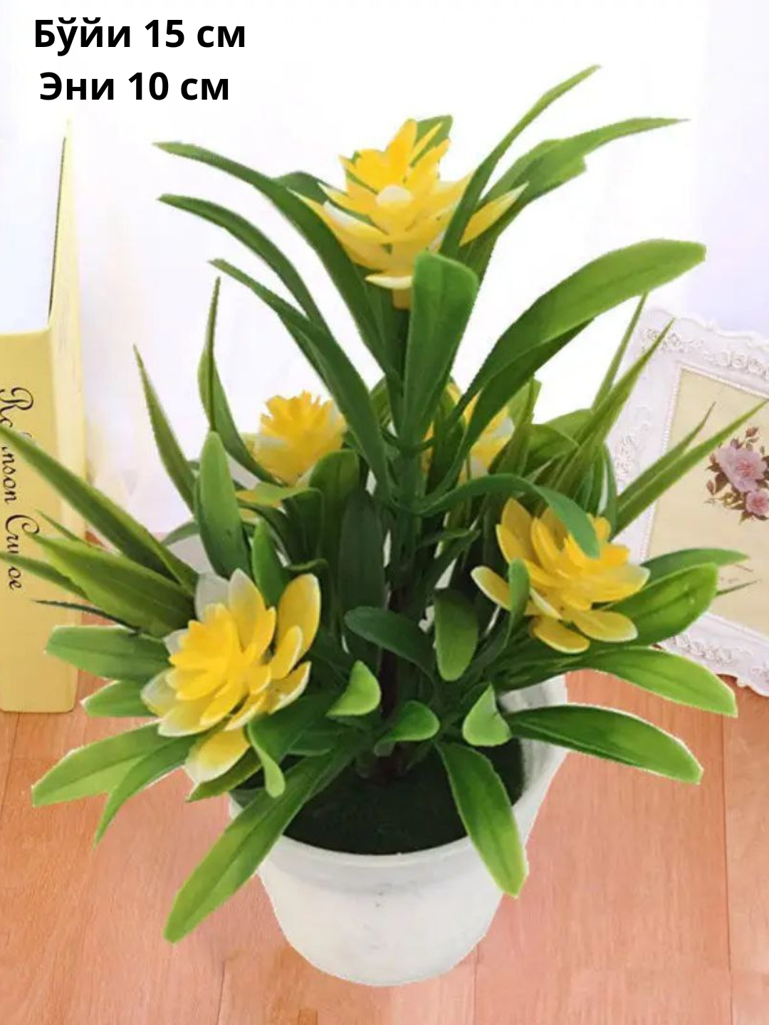 Eternal flower. Eternal flower