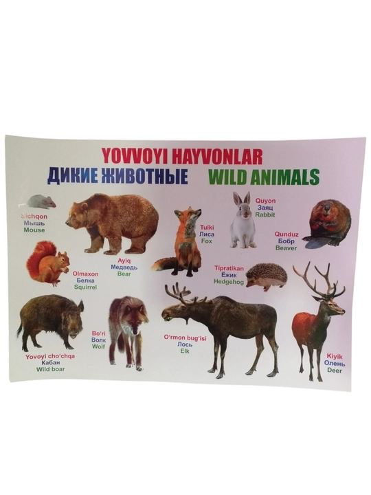 Bolalar uchun alifbo, hayvonlar, mevalar, sabzavotlar bilan plakat - 