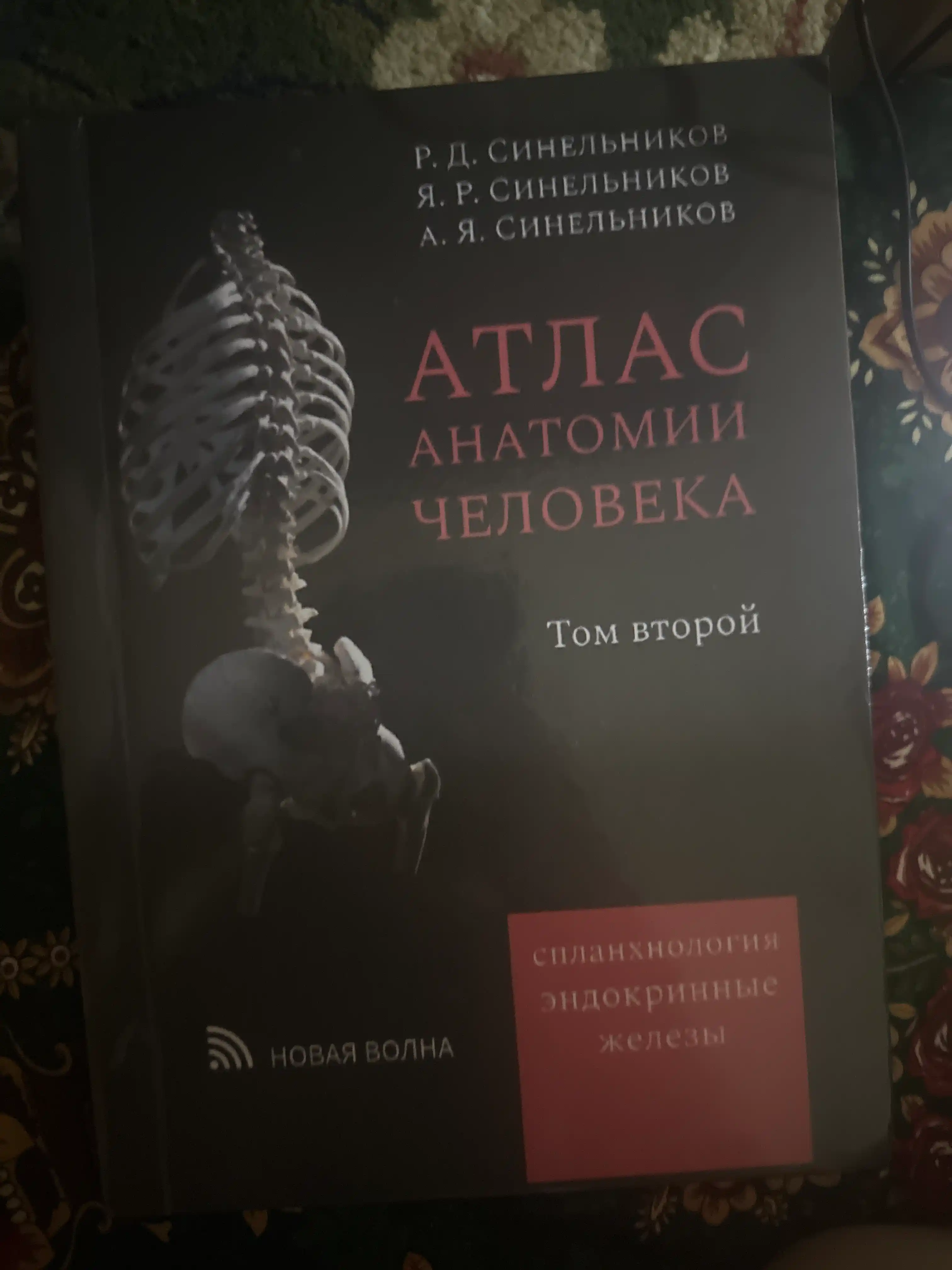 Атлас анатомии человека, Том 2, Синельников