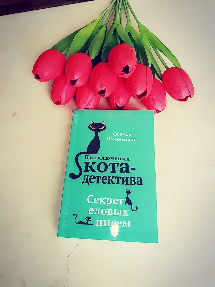 Приключения кота - детектива #2 Секрет еловых писем, Фрауке Шойнеманн
