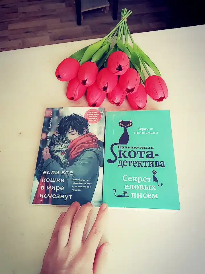 Приключения кота - детектива #2 Секрет еловых писем, Фрауке Шойнеманн