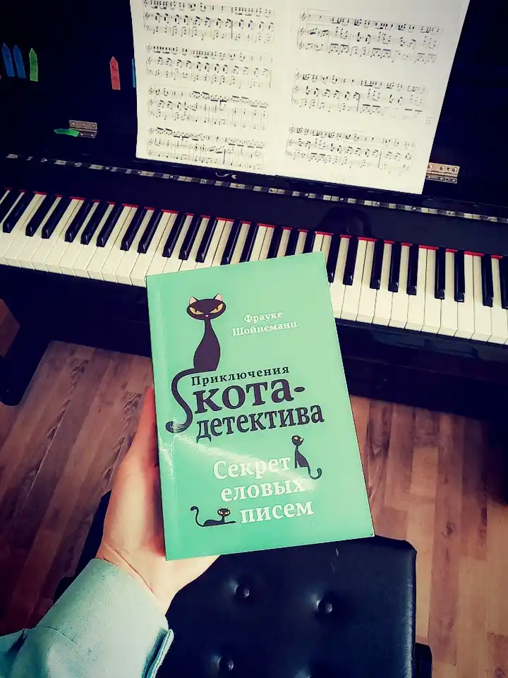 Приключения кота - детектива #2 Секрет еловых писем, Фрауке Шойнеманн