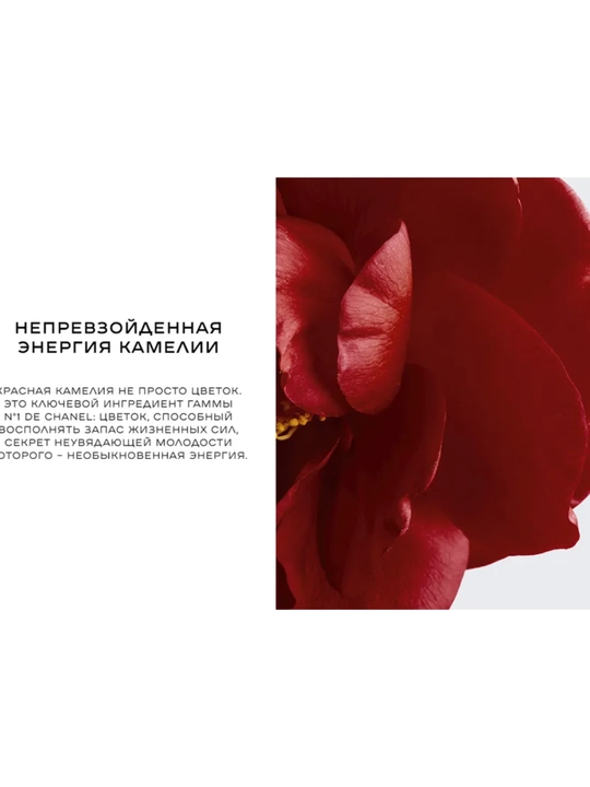 Oddiy va quruq teri uchun tonal krem, tabiiy qoplama №1 DE CHANEL