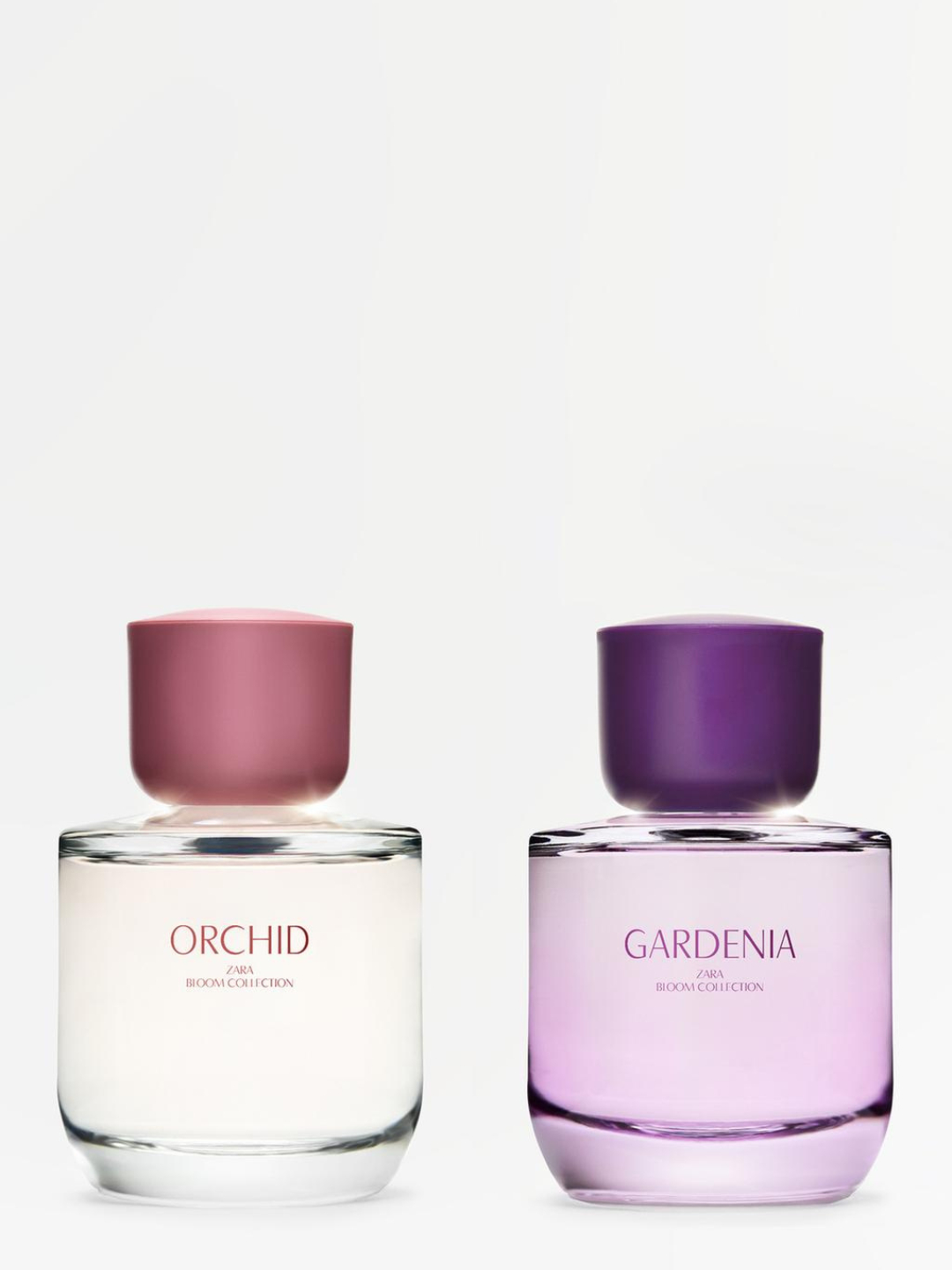 Boshi kesilgan erkak jinsiy olatni