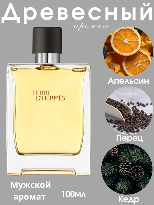 Мужская туалетная вода T'erre D Herme, 100 мл - 