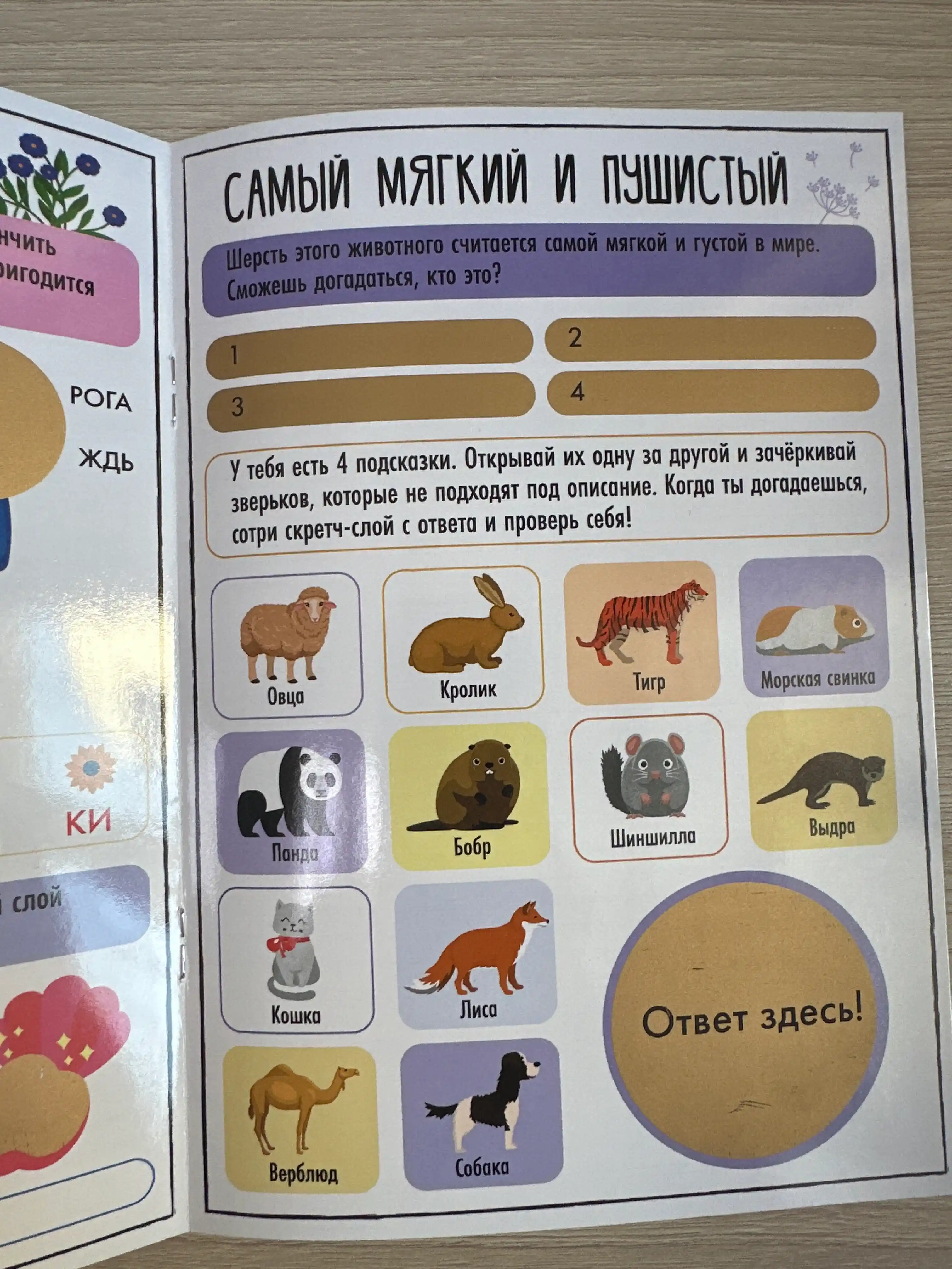 Bolada mantiq va sezgi rivojlanishi uchun tirnalgan qatlamli faoliyat kitobi