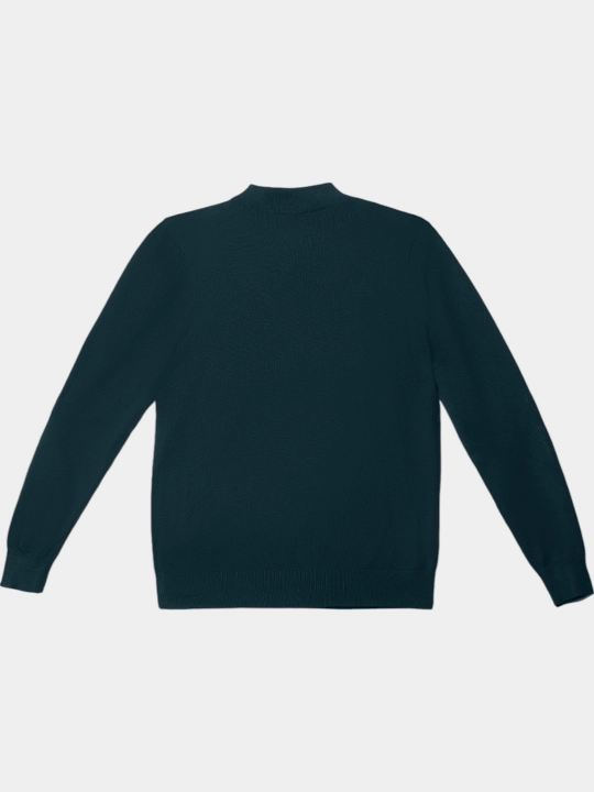 TERRA PRO Erkaklar jemper, uzun yengli AW23CA2N-29-18726