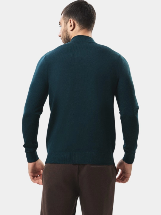 TERRA PRO Erkaklar jemper, uzun yengli AW23CA2N-29-18726