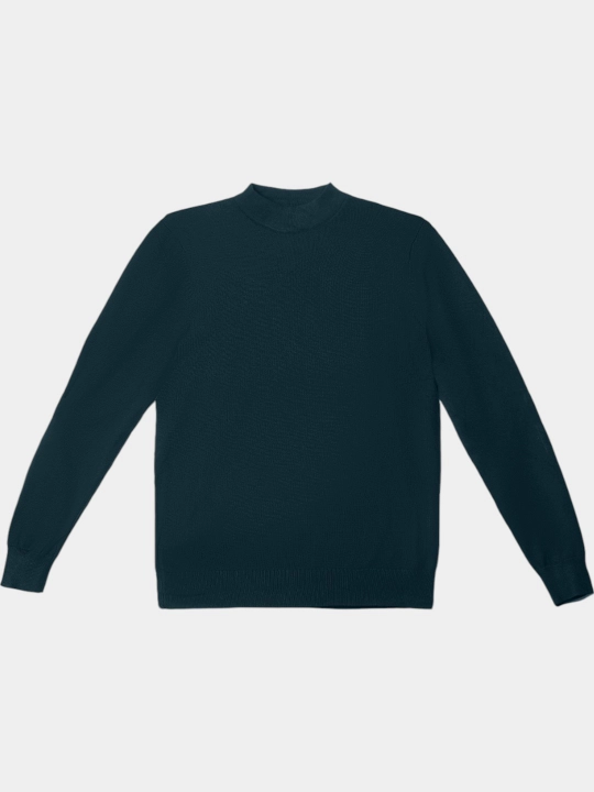 TERRA PRO Erkaklar jemper, uzun yengli AW23CA2N-29-18726