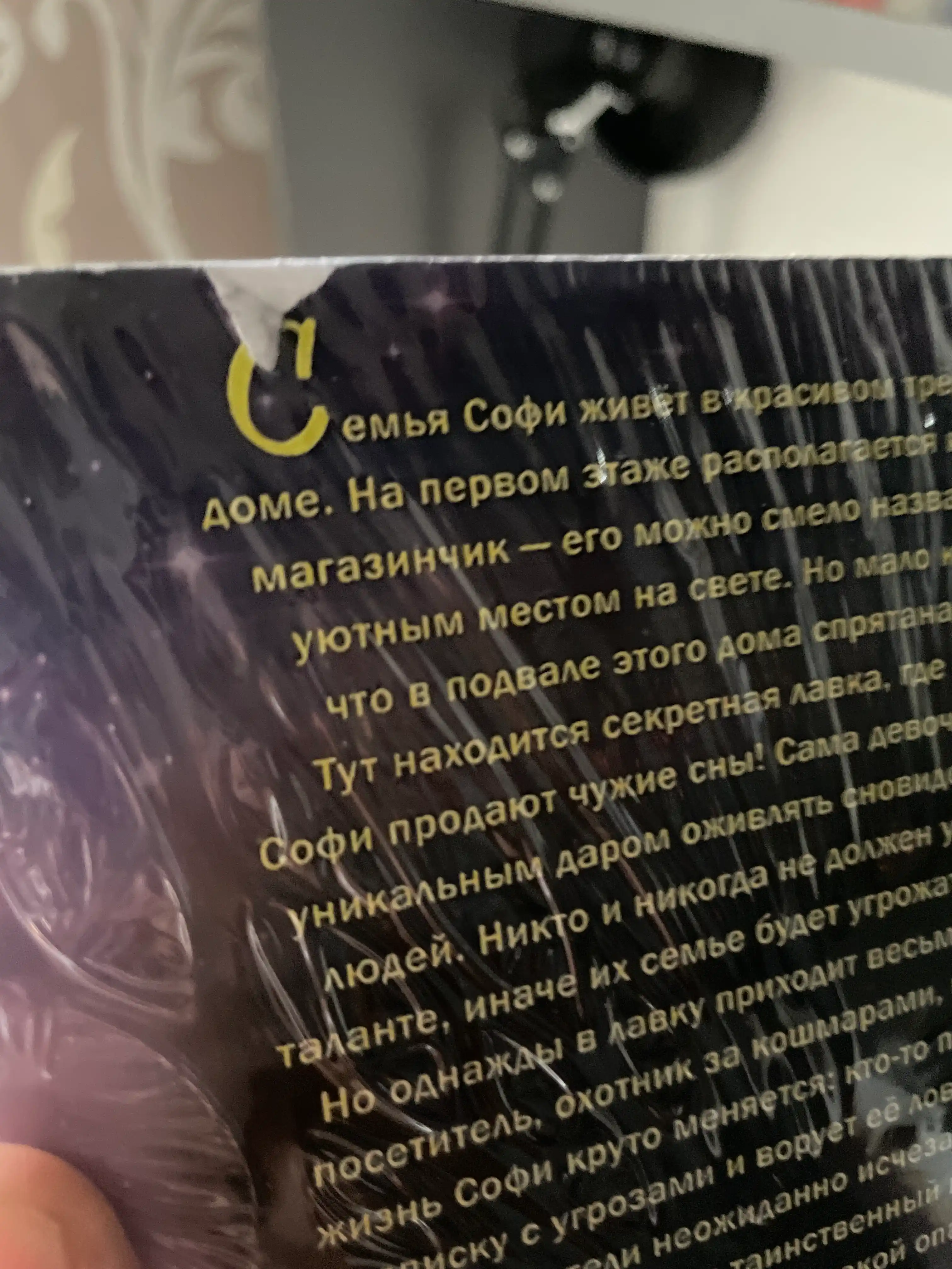 Devochka, kotoraia ne videla snov, Sarah Bet Dyorst
