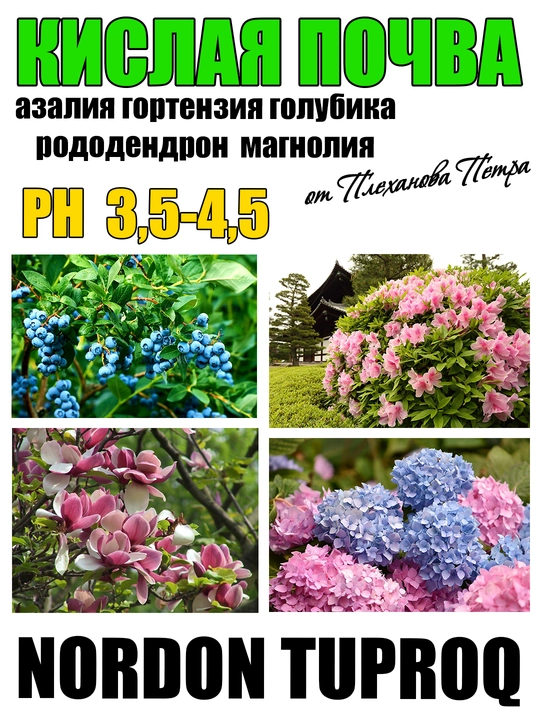 Nordon tuproq, grunt, torf PH 3.5-4.5 azaliya,gortenziya, rododendron, golubika, magnoliya