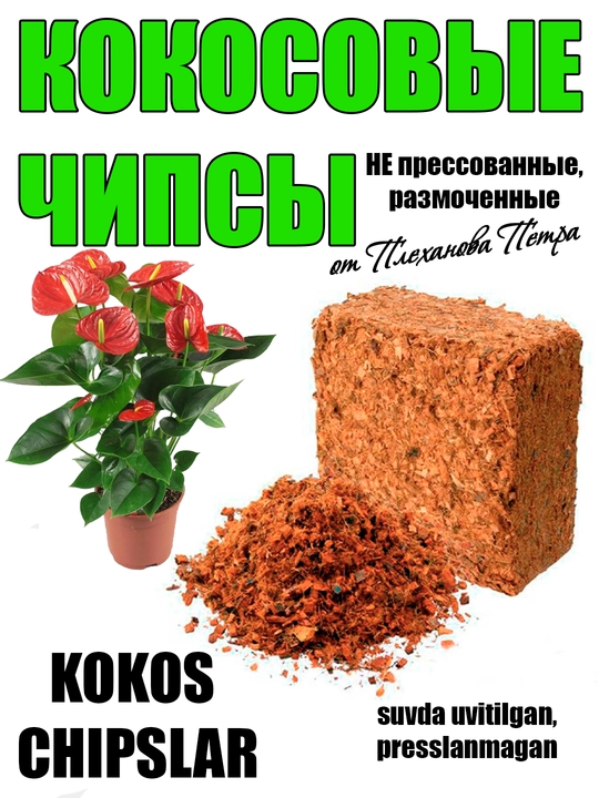 Kokos chipslari Pyotr Plexanovdan, presslanmagan, suvda uvitilgan orxideya, anturium