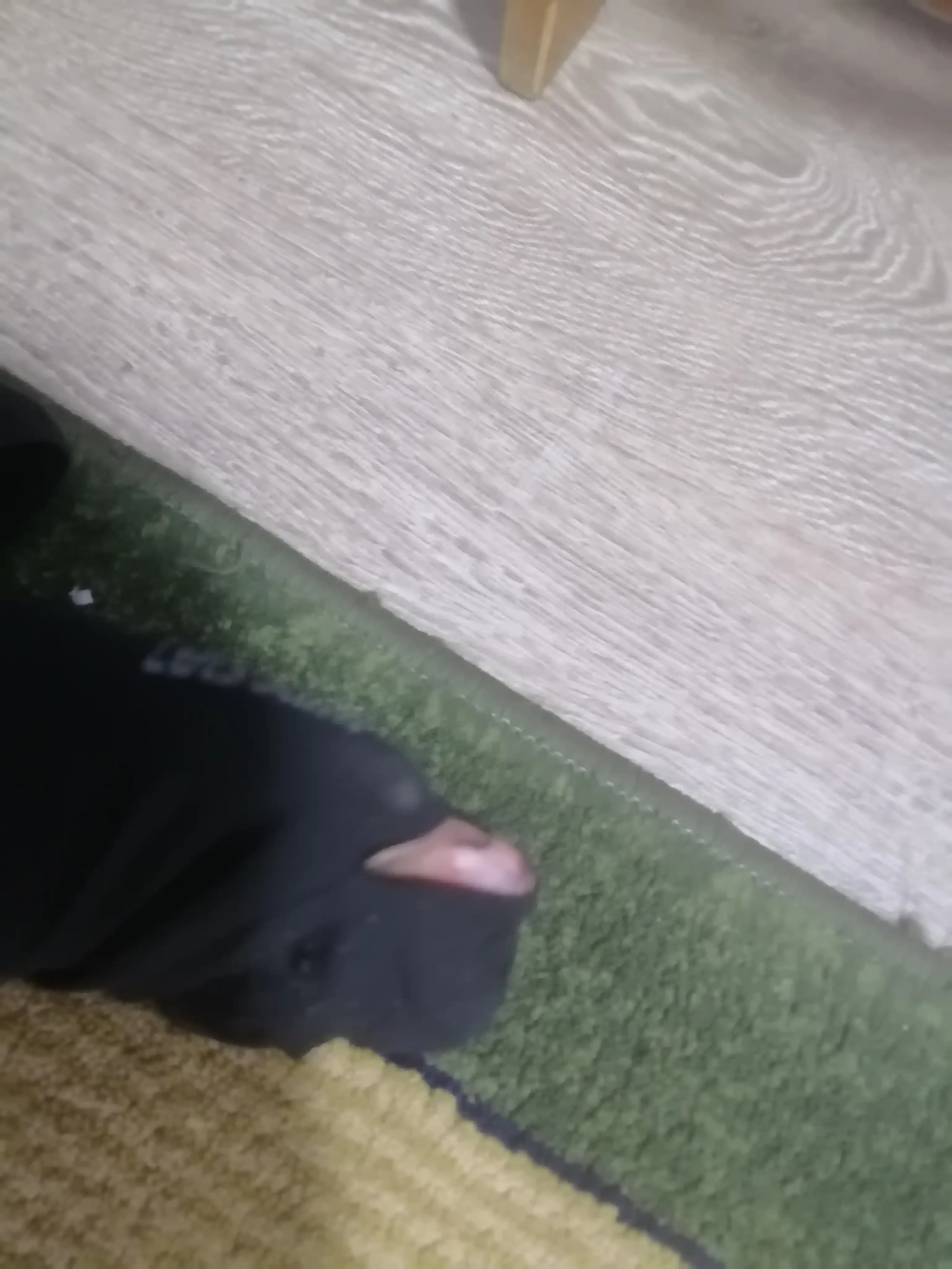 Quyoshdan himoyalovchi yenglar, yeng sport ucun barmoqli, ayollar va erkaklar uchun