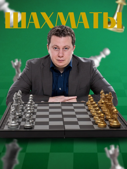 Magnitli shaxmatlar
