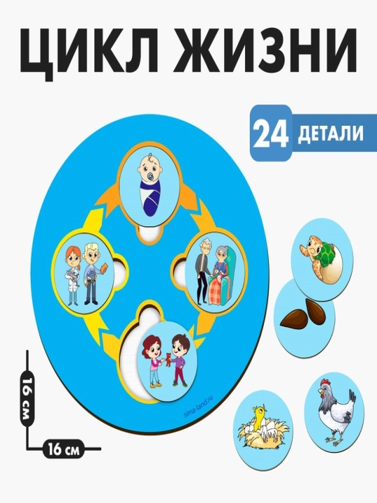 Развивающая игра из дерева, «Цикл жизни» - 