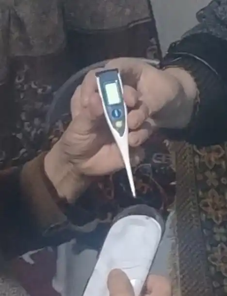 Ovozli elektron termometr