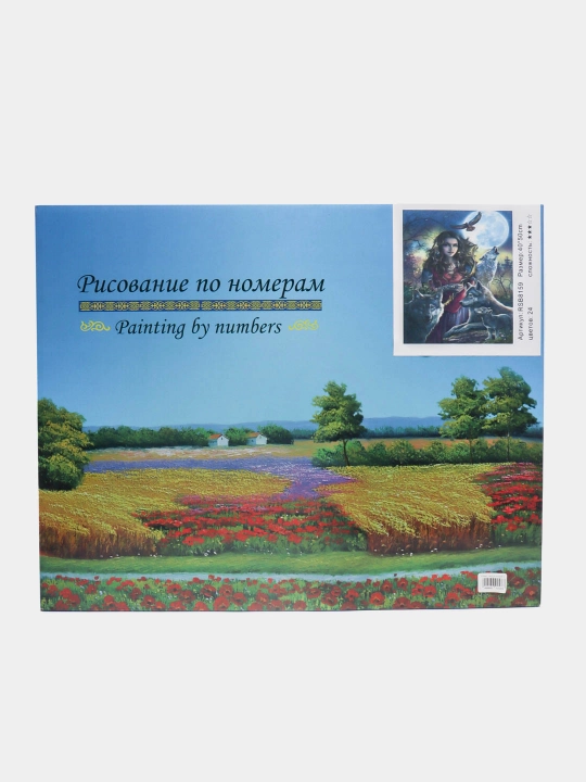Картины по номерам "Люди" 40 * 50 см, раскраска на холсте