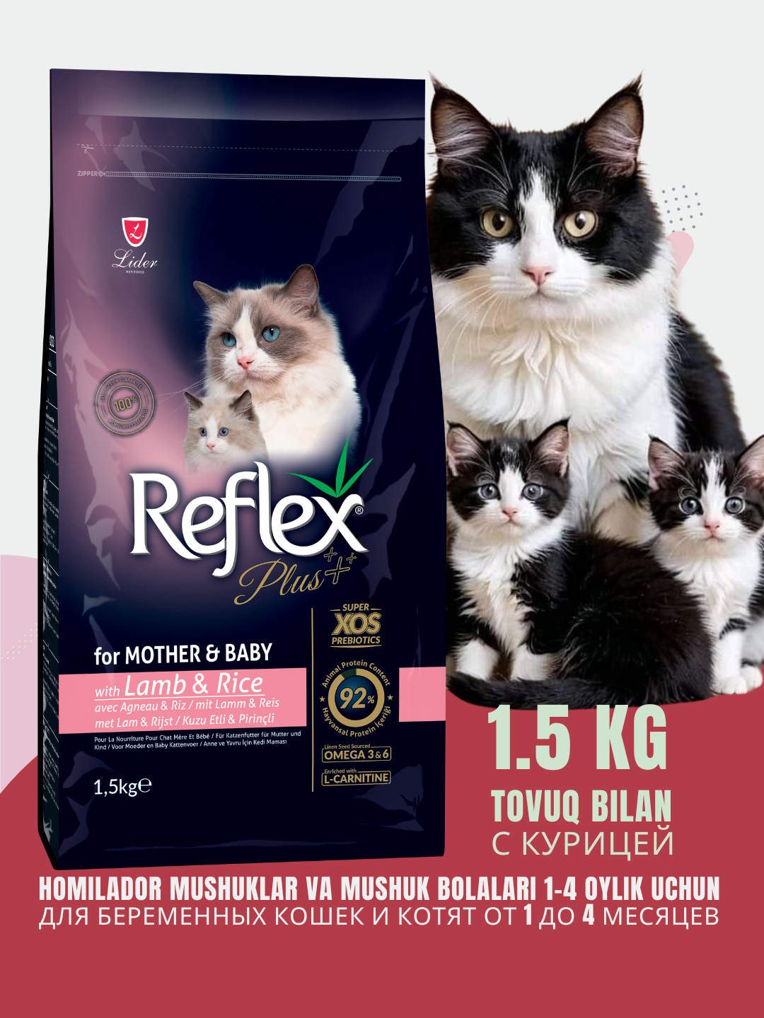 Katta mushuk bilan tombul