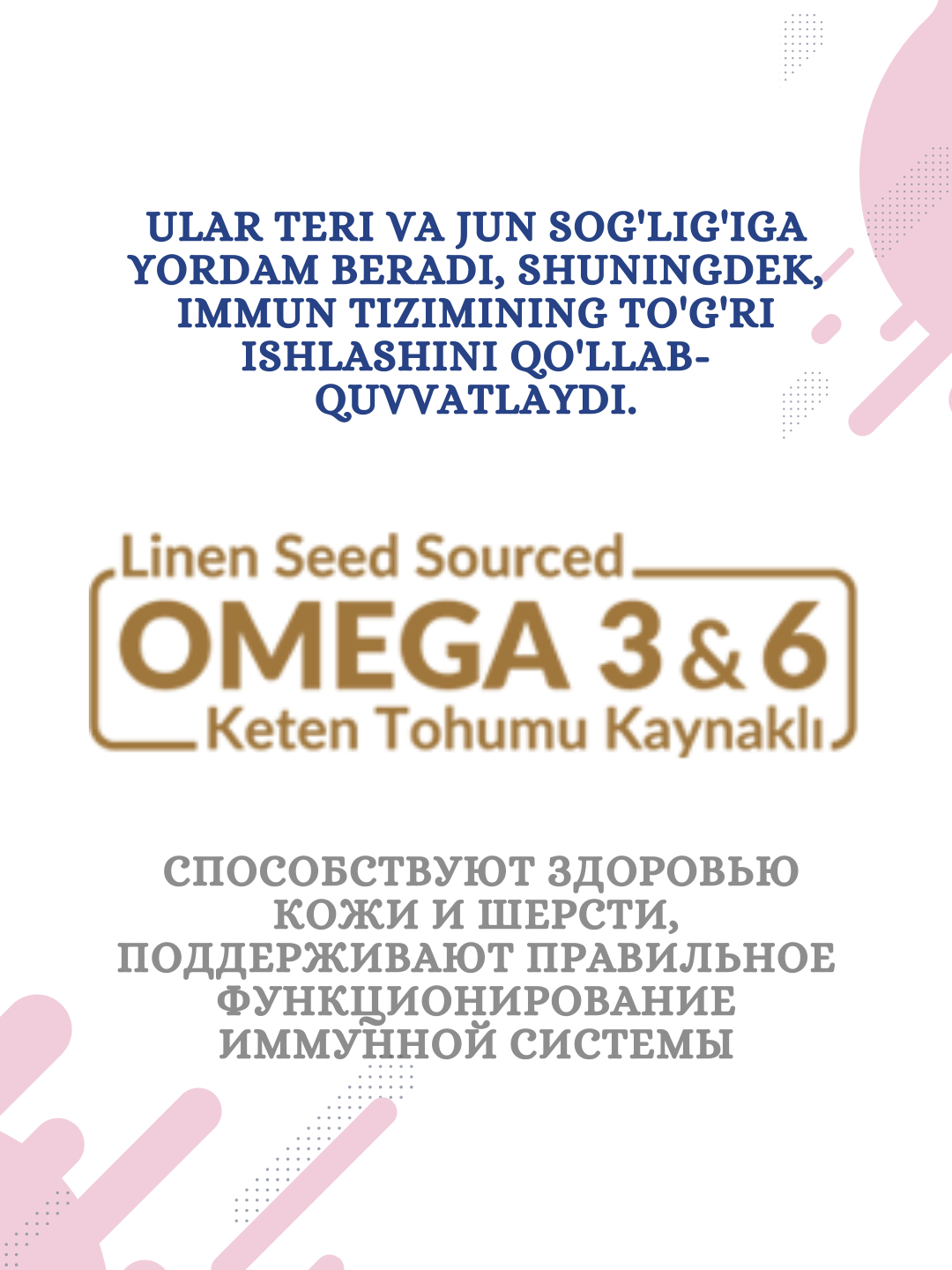 Homilador mushuk fotosuratlari