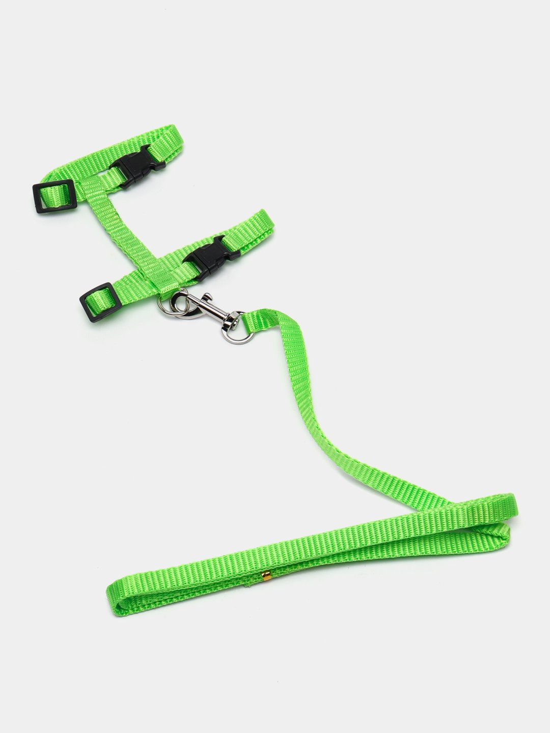 Anusdagi tasmani mahkamlash