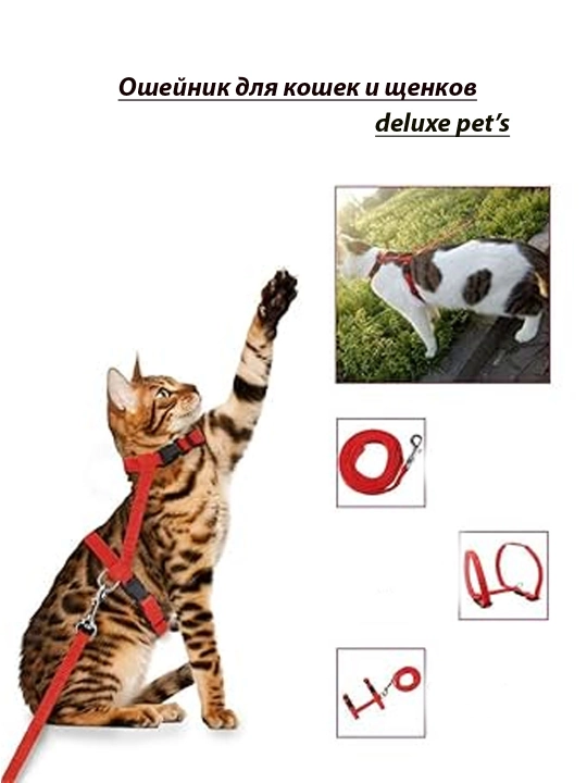Шлейка для кошек