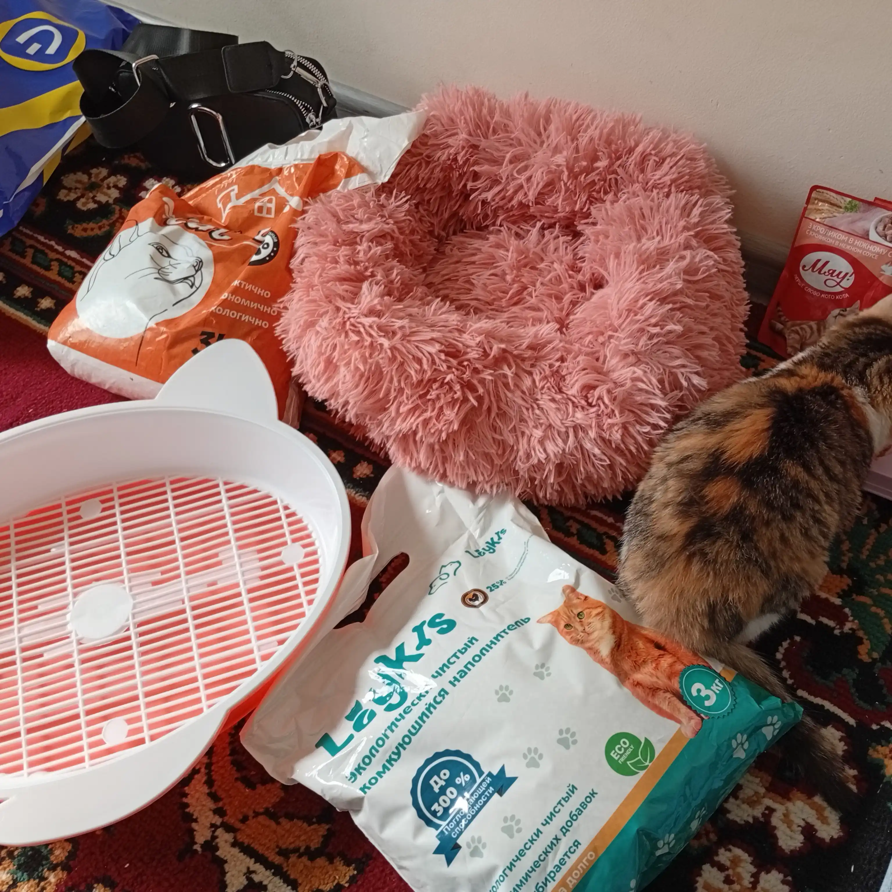 Лоток для кошек и котят
