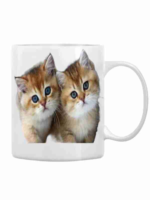 Bu qizning mushuki bor