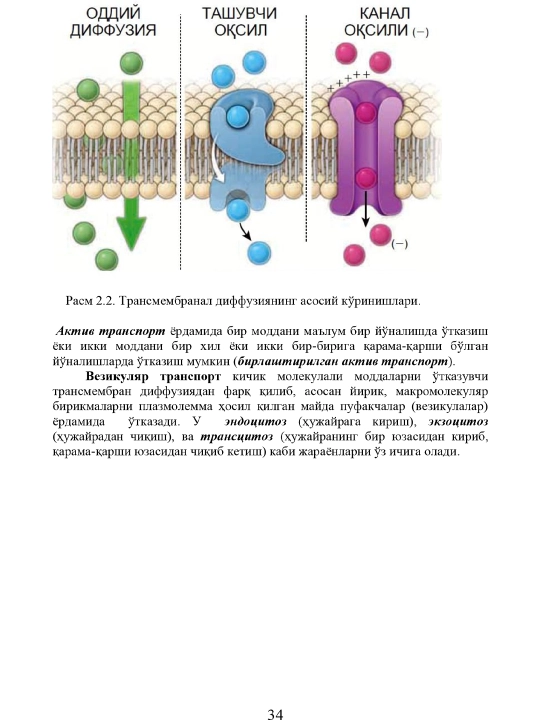 Gistologiya, Sitologiya, Embriologiya