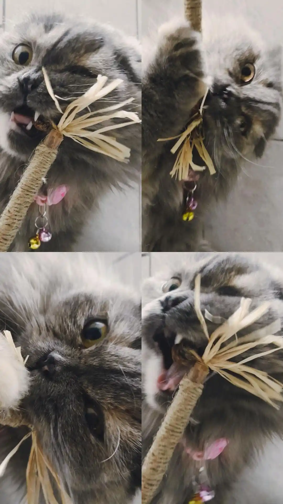 Кошачья мята для кошек, палочка