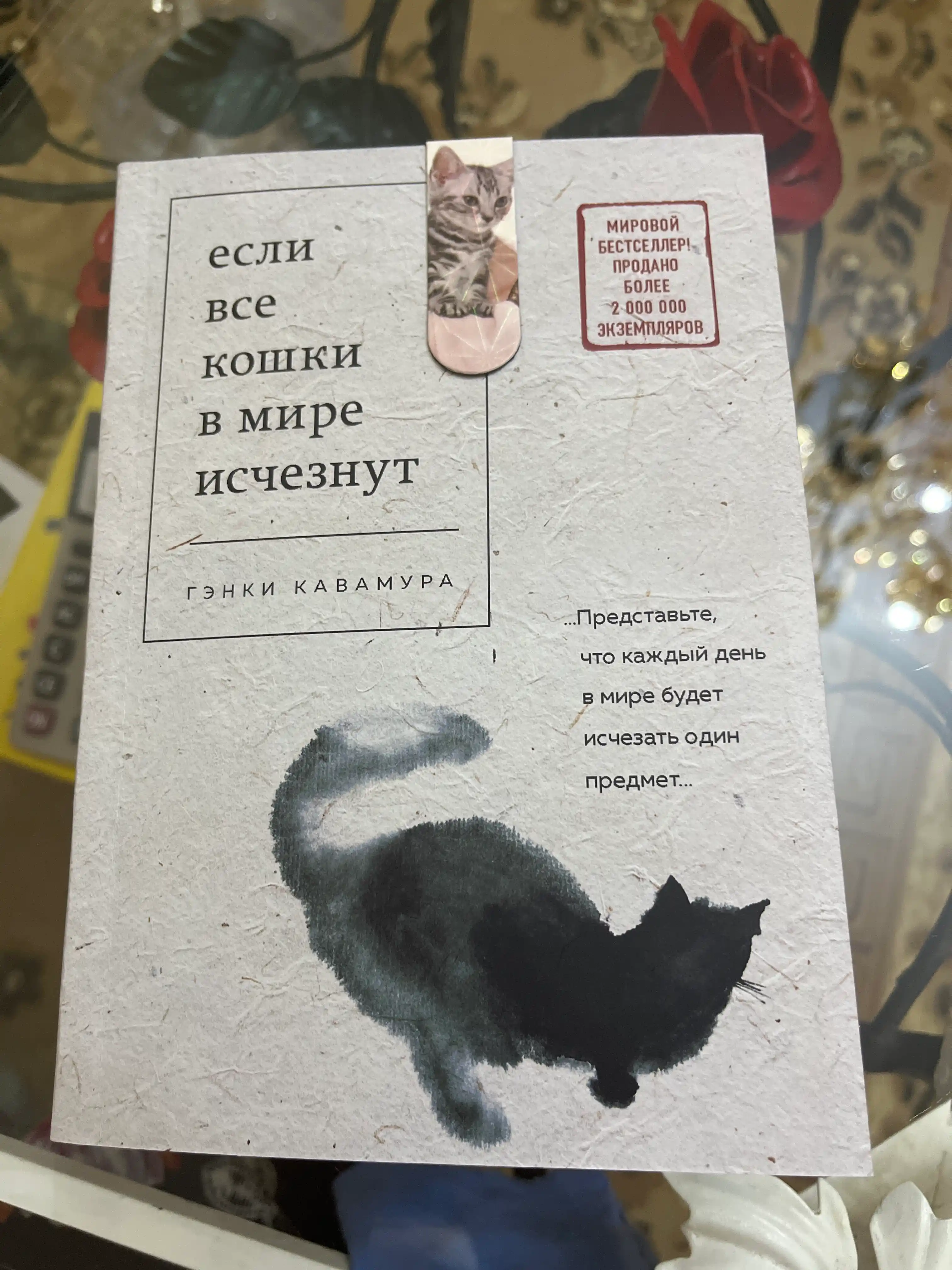 Yesli vse koshki v mire ischeznut, Kavamura Genki