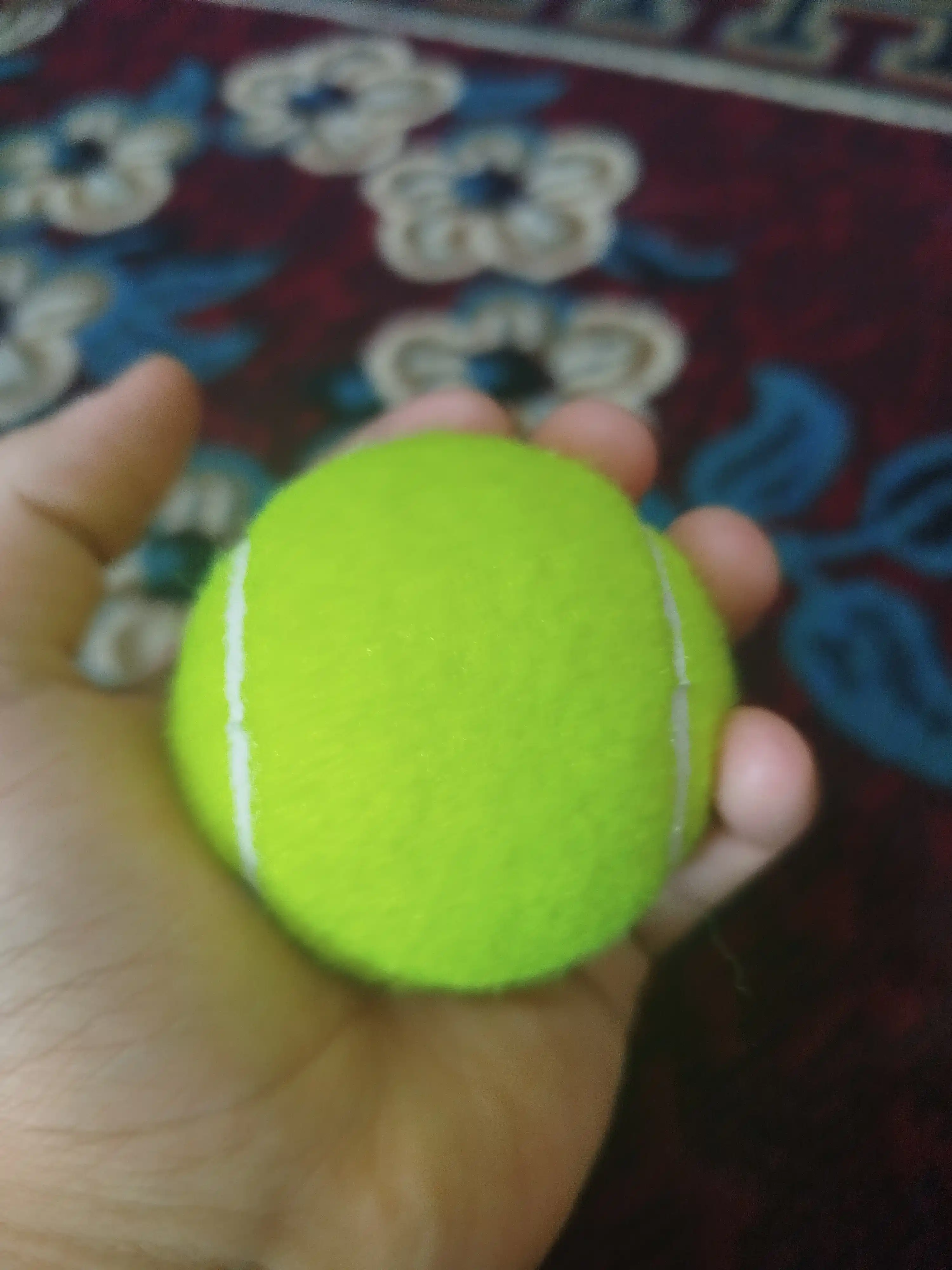 Universal tennis to‘pi 6.5 sm — sport, kir yuvish, massaj va hayvonlar uchun (to‘plam)
